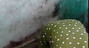 link sex thuỷ tiên Một phụ nữ trẻ fucks trong ass sex mỹ đen với một ông già.